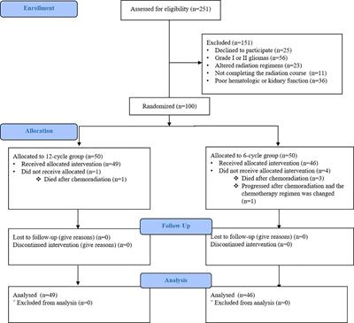 Extended dosing (12 cycles) vs conventional dosing (6 cycles) of adjuvant temozolomide in adults with newly diagnosed high-grade gliomas: a randomized, single-blind, two-arm, parallel-group controlled trial
